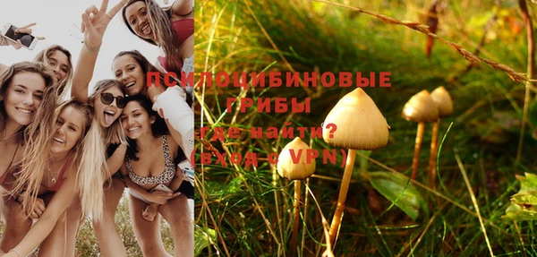 СК Богданович