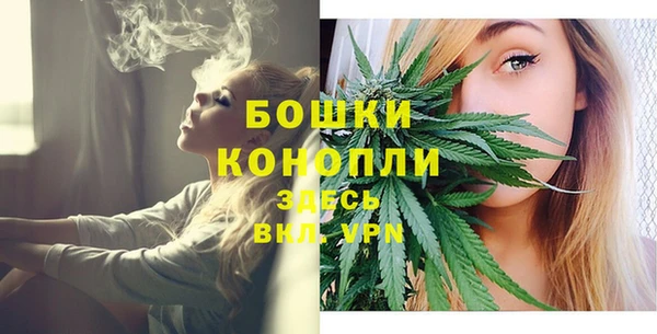 СК Богданович