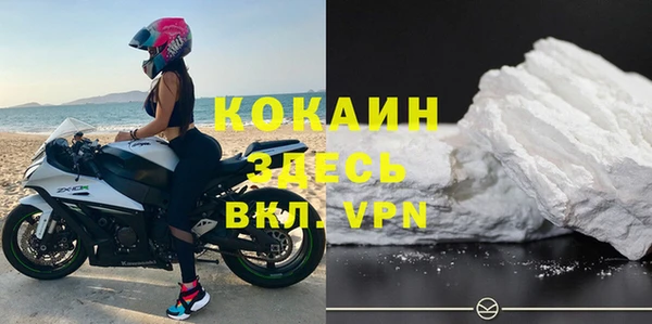 прущие грибы Бугульма