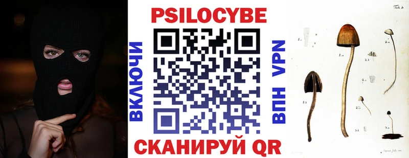 Галлюциногенные грибы Psilocybine cubensis  Купить закладки  Коркино 